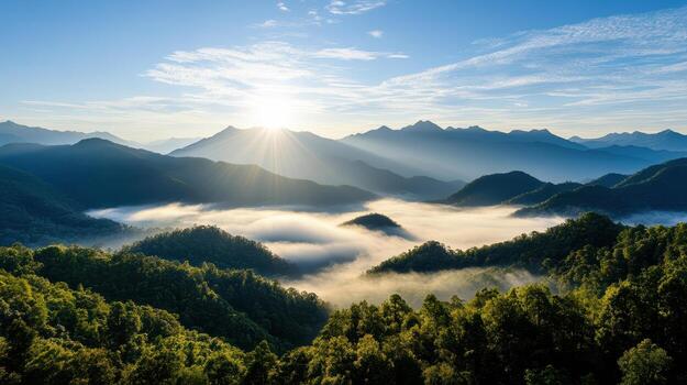 The sun shines over a mountain range with trees and fog photo