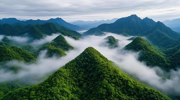 Aerial view of mountains covered in green vegetation photo