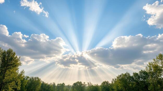 Sunbeams shining through the clouds in a forest photo