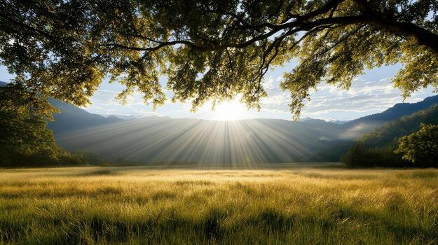 A field with grass and trees in the background photo