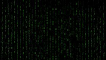 binário números queda animação digital dados conceito video