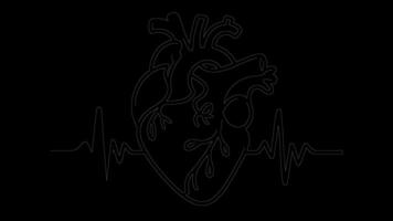 Continuous Line Art Animation of a Beating Heart with Pulse Line Representing Health and Emotion. video