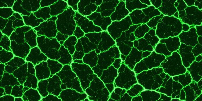A dark background is covered with bright neon green glowing cracks forming an abstract texture pattern photo