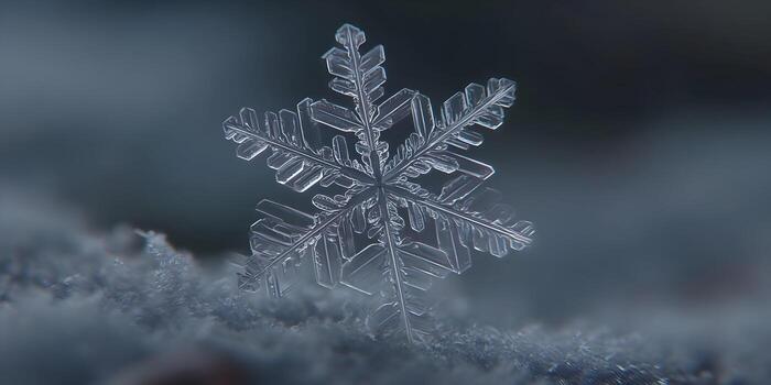 A perfectly formed ice crystal snowflake rests delicately on a frosted surface displaying its intricate six sided structure photo