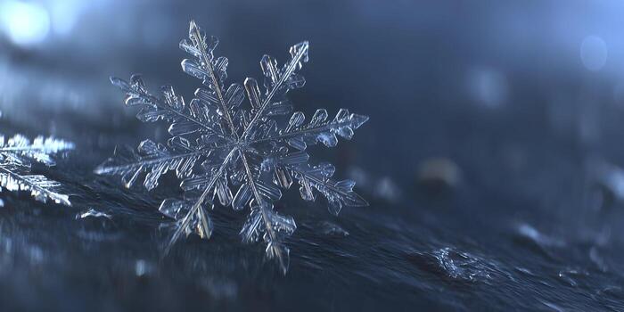 A detailed macro image of a clear intricate snowflake on a dark textured surface with soft blue bokeh lights photo