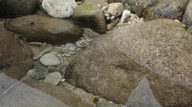 rock that displays a non-sharp side photo