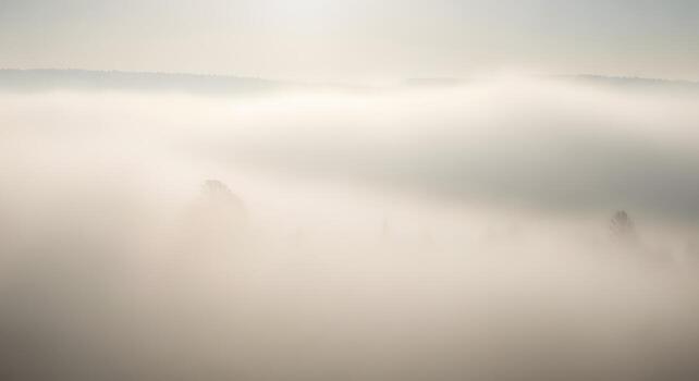 Vast landscape enveloped in dense morning fog, revealing distant tree lines through soft, diffused light, creating a serene and mysterious natural panorama photo