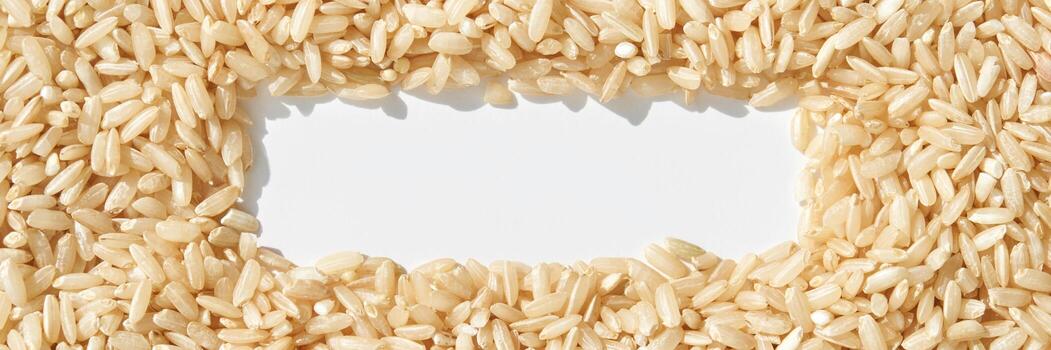 rectangular marco de marrón arroz granos en blanco antecedentes con vacío centrar espacio. foto