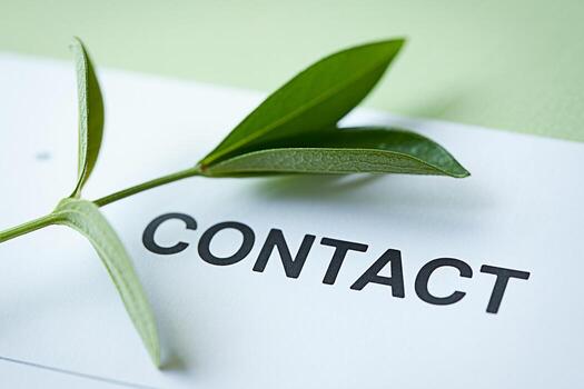 Fresh green sprig resting gently on a white paper displaying the word CONTACT in bold black letters symbolizing a connection to nature and a commitment to eco-friendly communication in a bright clean photo