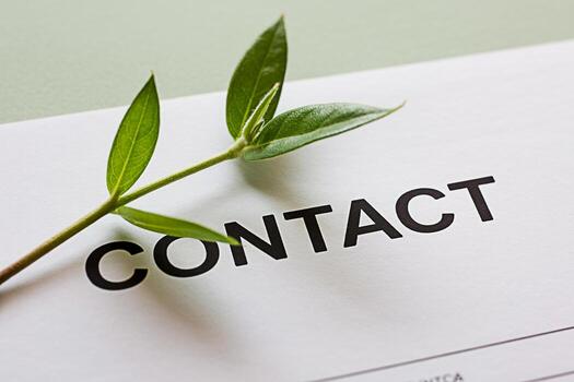 Fresh green sprout resting on a white paper with the word Contact printed in bold black letters symbolizing a new beginning and a connection to nature creating a sense of hope and environmental consci photo
