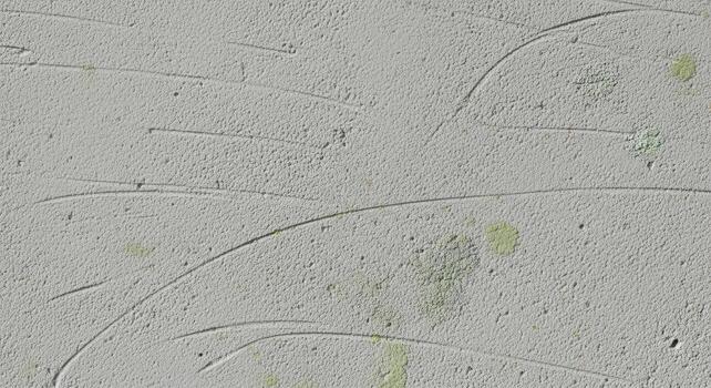Abstract close-up of a textured, light gray wall with subtle imperfections and curved lines, evoking a sense of age, wear, and artistic detail. The wall is a minimalist backdrop photo