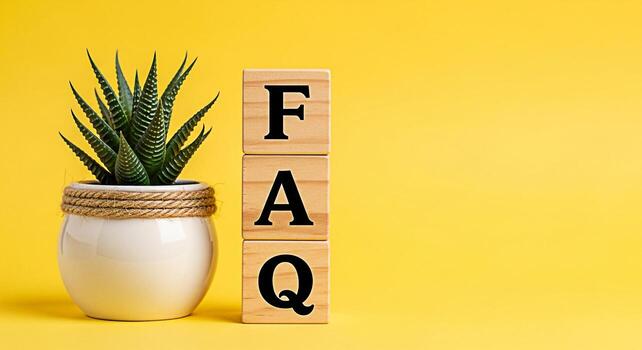 Succulent plant displaying FAQ acronym on wooden blocks in a bright yellow studio representing frequently asked questions and knowledge base resources for customer support and information access photo