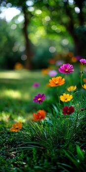 Colorful flowers in the grass with trees in the background photo
