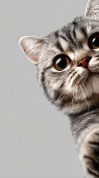 Curious cat reaching out towards the camera in a playful manner photo