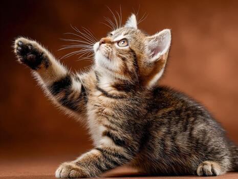 juguetón gatito alcanzando fuera con pata en de colores cálidos ajuste foto