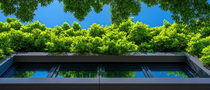 Lush greenery creates a vibrant atmosphere near modern architecture photo