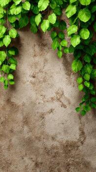 Simple green leaves against a textured neutral background create a tranquil ambiance photo