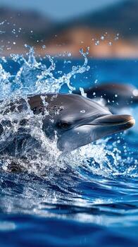 Cheerful bottlenose dolphin joyfully emerging from the ocean waves photo