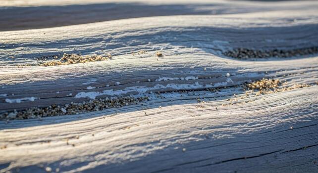 Close-up of weathered wood texture showing intricate grain patterns, with fine sand scattered across the surface, a study in natural abstract photo
