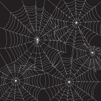 telaraña antecedentes web modelo decorativo telaraña ilustración vector