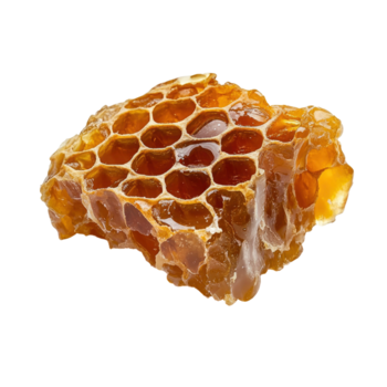 Detailed view of golden honeycomb structure with hexagonal cells on transparent background png