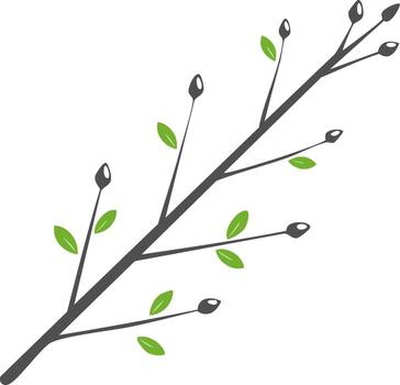 Minimalist illustration of a budding tree branch with new green leaves for spring growth vector