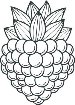 Simple Line Art Drawing of a Raspberry Fruit with Leaves vector