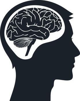 silueta de cabeza con cerebro dentro para mental salud y cognitivo función vector