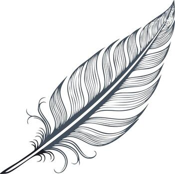 Graceful feather graphic with intricate detailing, isolated illustration, design element vector