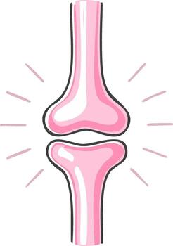 Joint illustration in pink tones, depicting bone structure for anatomy and health concepts, with radiating accent lines vector