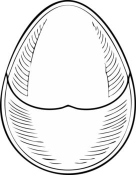 Egg Shell Outline Sketch Design Element Hatching Illustration Black and White vector