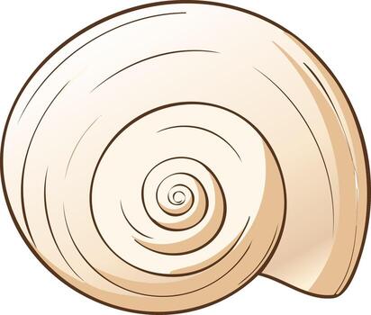 Illustration of a Seashell with a Swirled Pattern and Brown Outlines vector