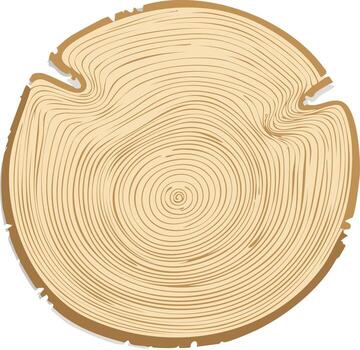 cruzar sección de un árbol maletero demostración anillos y madera grano ilustración vector