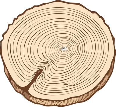 Tree Trunk Cross Section Showing Growth Rings and Bark vector