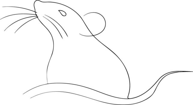 Black line drawing of a mouse with whiskers and tail vector