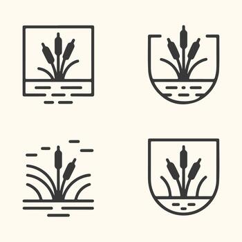 Art of set of four minimalist line art icons featuring cattails growing in water, presented in different frame styles for versatile design applications vector