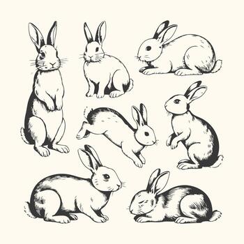 Art of a charming collection of seven handdrawn rabbits in various poses, isolated on a light cream background, perfect for spring and easter themes vector