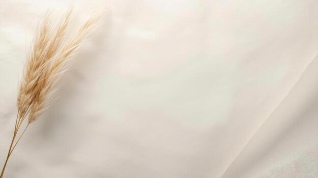 Delicate dried pampas grass rests gently on a softly draped, pale beige textile creating a minimal and elegant natural still life composition. photo