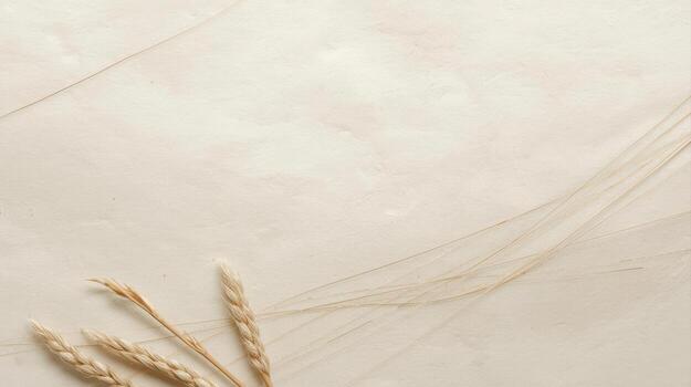 Subtle wheat stalks gently adorn a textured cream backdrop creating a serene and organic composition perfect for backgrounds or overlays. photo
