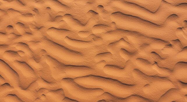Soft light illuminates undulating patterns of windblown sand dunes creating desert texture and beautiful abstract golden curves in nature's s. photo
