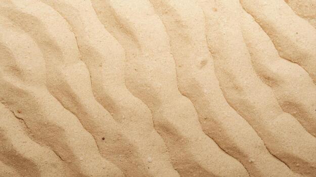 The warm and sunlit sand of the beach displays a rippled pattern created by the wind and waves, perfect for a textured backdrop, close up view. photo