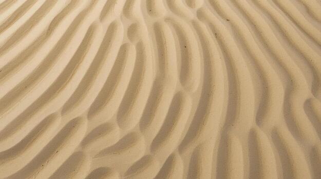 The gentle curves and patterns created by wind and water are evident in this close up of sand dunes on the beach at low tide conditions. photo