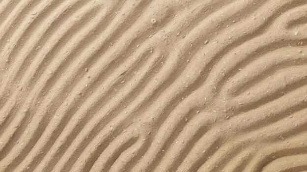 The natural lines create mesmerizing patterns on the beach sand after the ocean tide has receded, revealing the subtle beauty of nature. photo