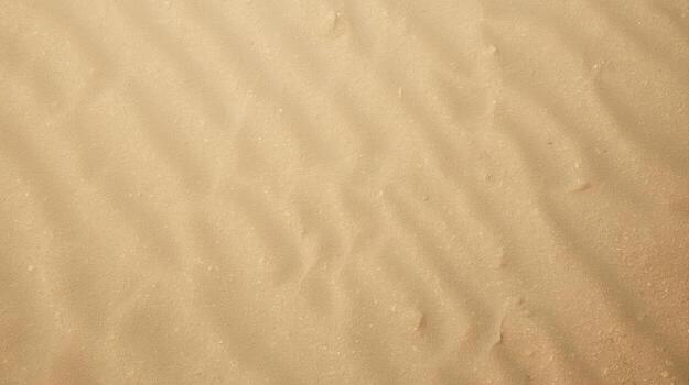 The rippled surface of fine beige sand creates an abstract textured background under the warm natural light with subtle shadow patterns visible. photo