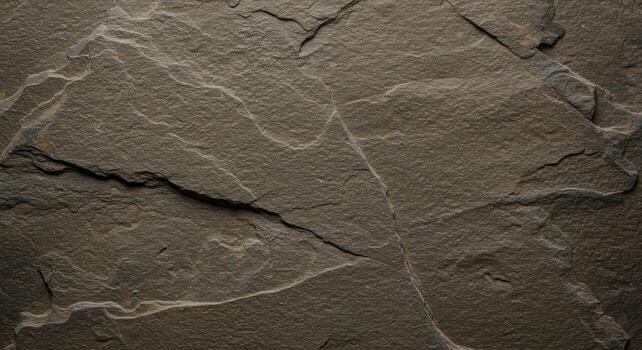 A dark, textured slate surface shows intricate layers and geological patterns creating a visually interesting and rugged stone background. photo