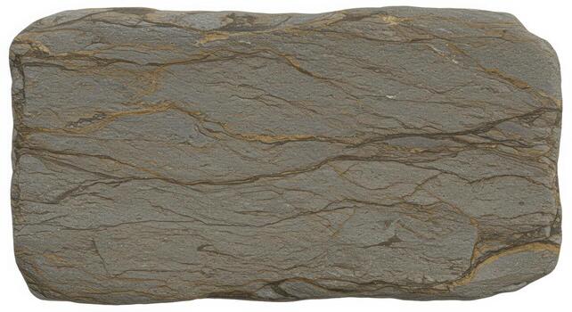 A grey rectangular flat rock with thin horizontal lines of gold and brown streaks running through it showing its unique geological formation. photo
