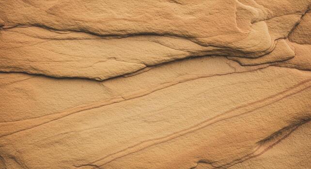 Close up on a sandstone rock formation reveals intricate layered patterns and earthy tones in a naturally textured surface for geological study. photo