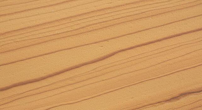 A close up shows the fine lines and subtle textures of wind blown sand creating beautiful patterns in a desert landscape environment. photo