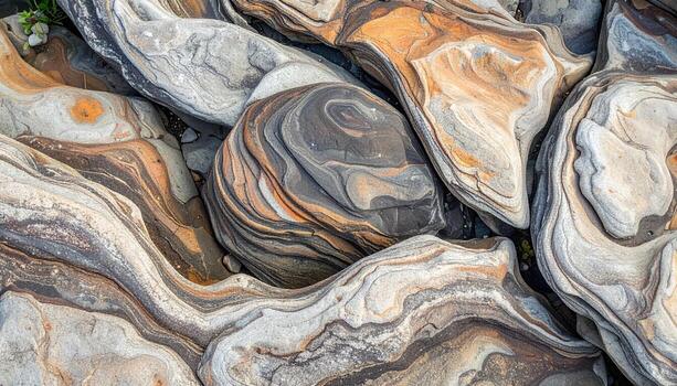 A collection of naturally weathered rocks displaying unique swirling patterns and textures in shades of gray, brown, and cream tones on the shore. photo