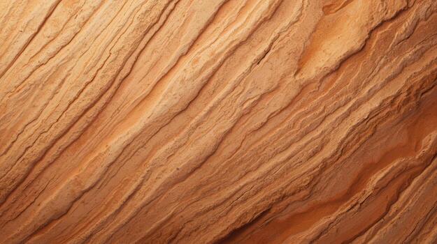 The light brown sandstone reveals its ancient history through diagonal layers and organic patterns creating a textured sedimentary rock surface. photo